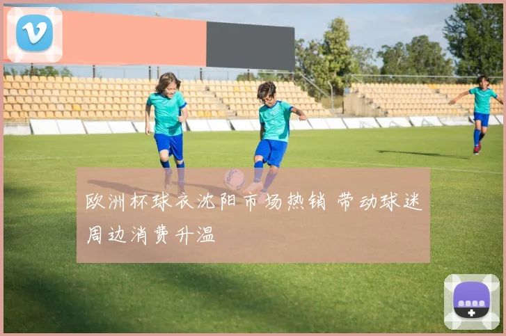 欧洲杯球衣沈阳市场热销 带动球迷周边消费升温