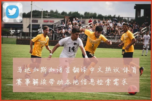 马达加斯加语言翻译中文热议 体育赛事解读带动本地信息检索需求