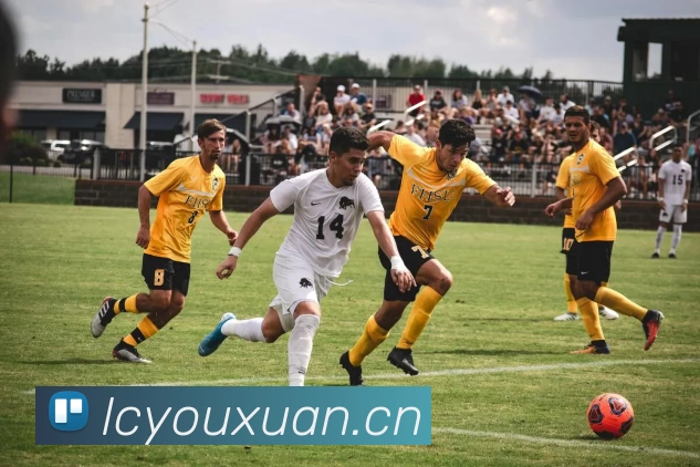 App Interface Preview