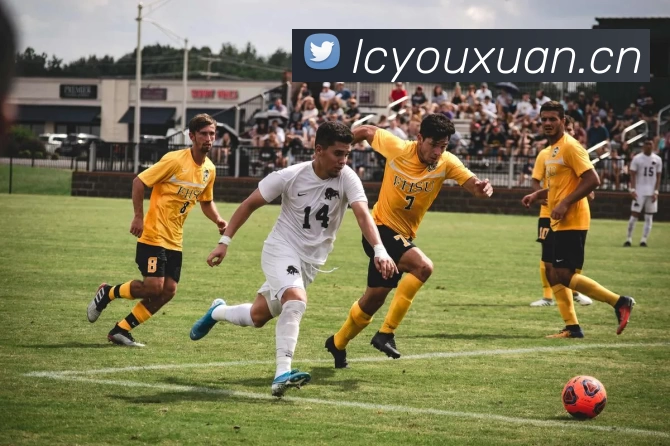 九游9官方入口APP 封面图